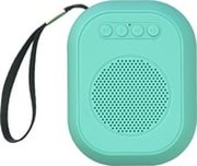 SmartBuy Bloom SBS-160 фото